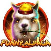 funny alpaca