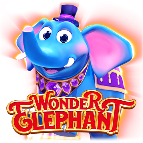wonder elephant